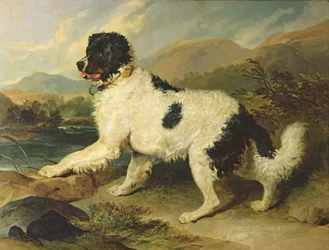 Newfoundlandhond genaamd Leeuw, 1824